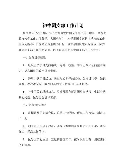 初中团支部工作计划