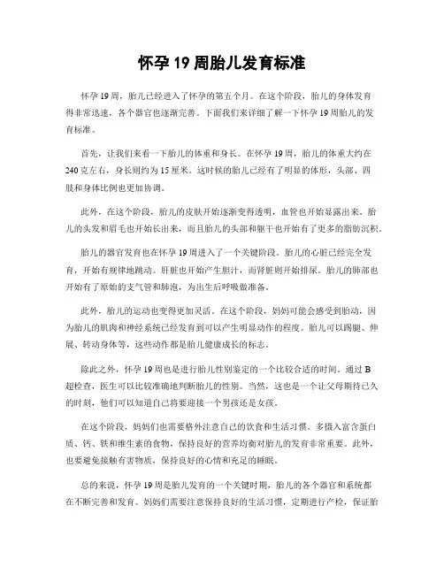 怀孕19周胎儿发育标准