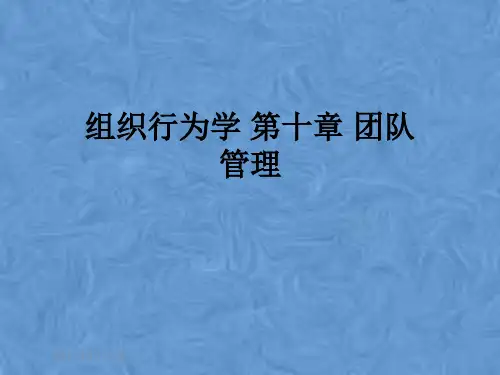 组织行为学 第十章 团队管理
