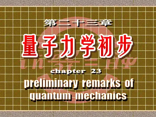 高中物理竞赛辅导《量子力学初步》课件