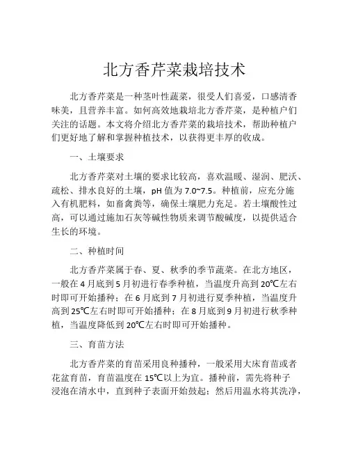 北方香芹菜栽培技术