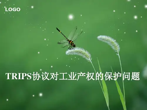 从TRIPS协议看工业产权的国际保护