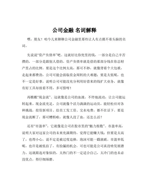公司金融 名词解释