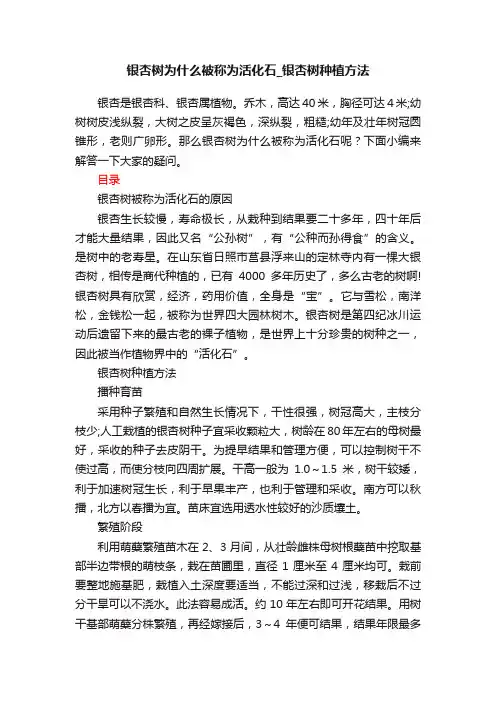银杏树为什么被称为活化石_银杏树种植方法