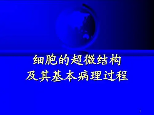 2细胞的超微结构及其基本病理过程(1)