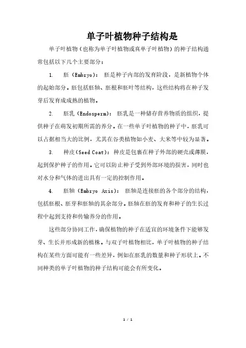单子叶植物种子结构是