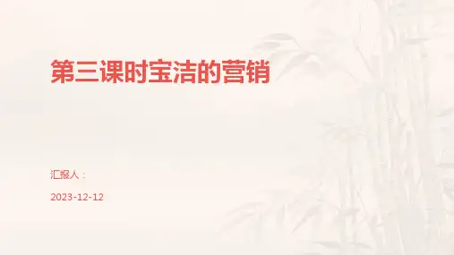 第三课时宝洁的营销
