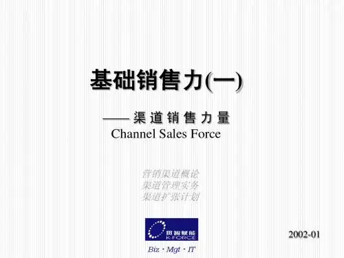 DT03-1渠道销售力