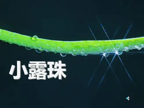 苏教版三年级上册语文《小露珠》公开课课件PPT课件PPT