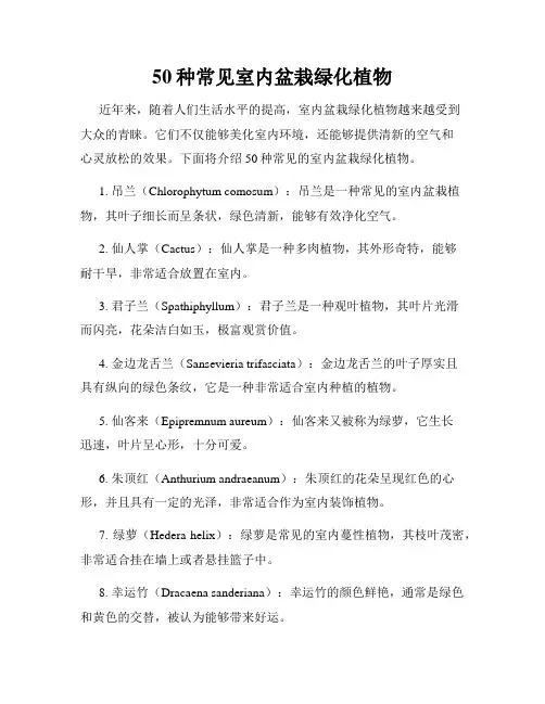 50种常见室内盆栽绿化植物
