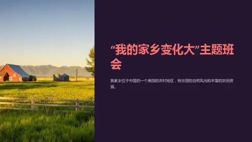 “我的家乡变化大”主题班会