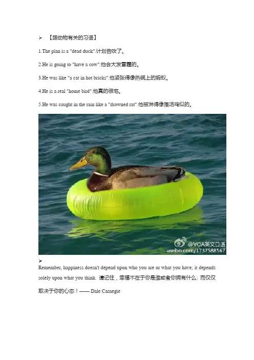 与动物有关的习语