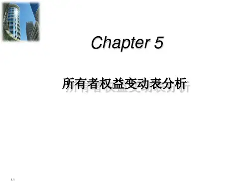 第五章：所有者权益变动表分析