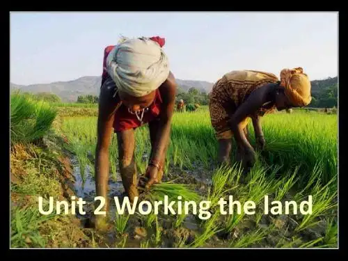 高中英语Unit2《workingtheland-Yuanlongping》课件(新人教版必修4)
