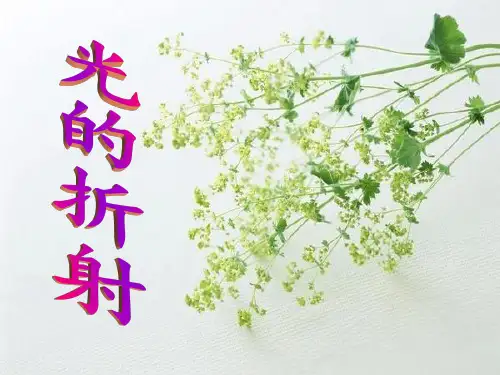 光的折射规律