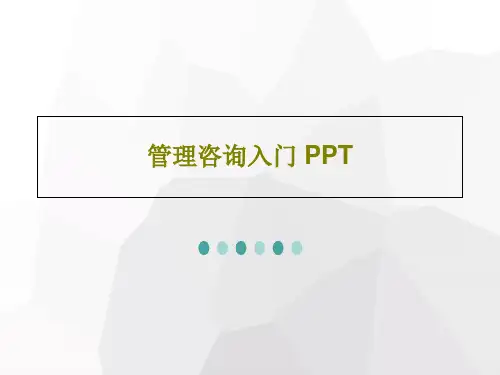 管理咨询入门 PPT共115页文档