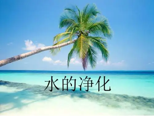 【初中化学】水的净化PPT课件24(27份) 人教版