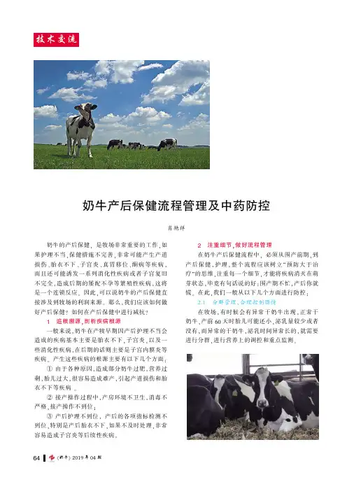 奶牛产后保健流程管理及中药防控