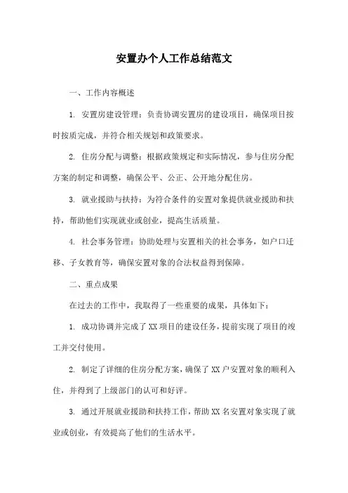 安置办个人工作总结范文