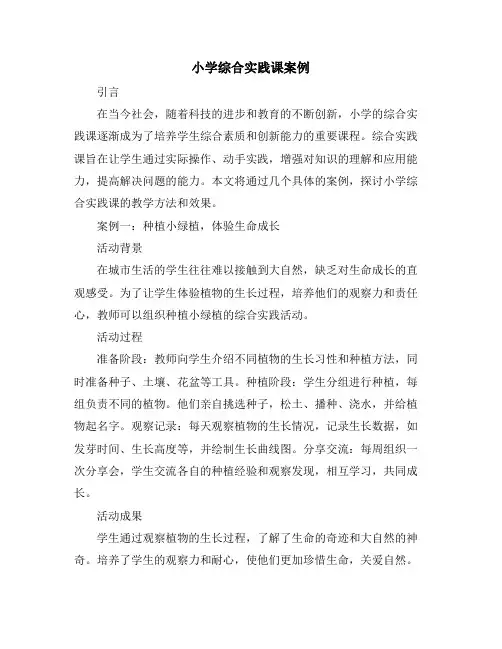 小学综合实践课案例