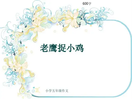 小学五年级作文《老鹰捉小鸡》600字(共10页PPT)