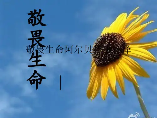 敬畏生命阿尔贝特史怀泽 ppt课件