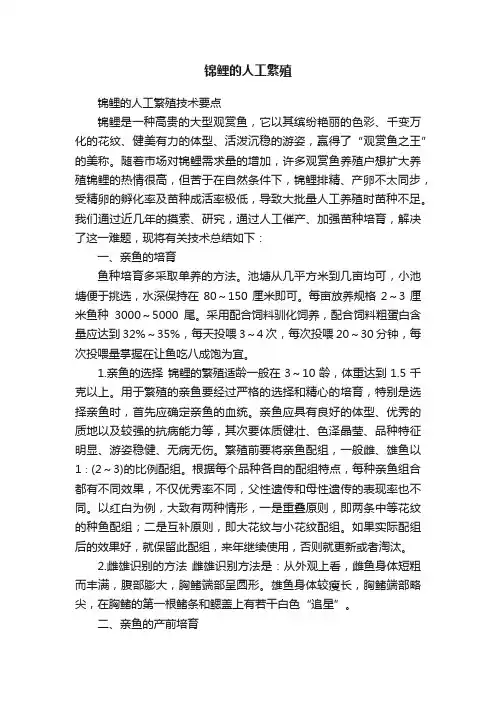 锦鲤的人工繁殖