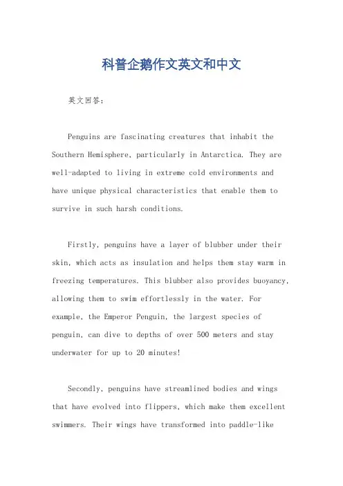 科普企鹅作文英文和中文