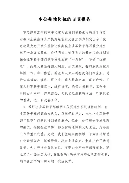 乡公益性岗位的自查报告