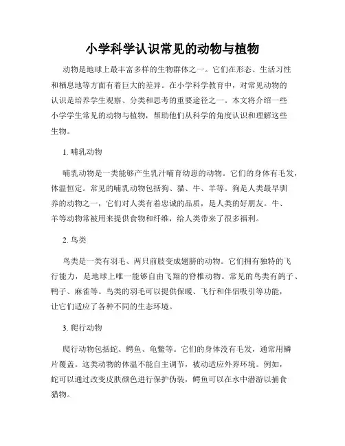 小学科学认识常见的动物与植物