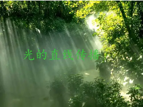 新人教版八年级物理上册4.1 光的直线传播 优质课课件(共20张PPT)