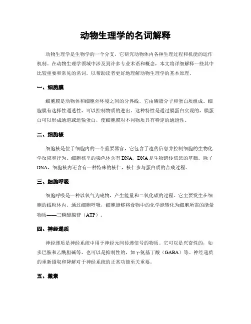 动物生理学的名词解释