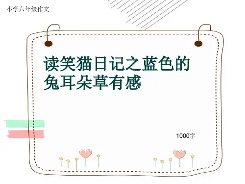 小学六年级作文《读笑猫日记之蓝色的兔耳朵草有感》1000字(共12页PPT)