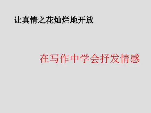 《学会抒情》ppt