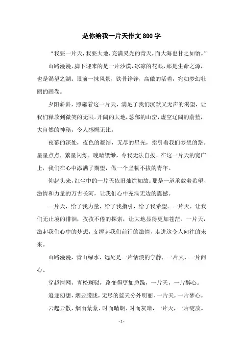 是你给我一片天作文800字