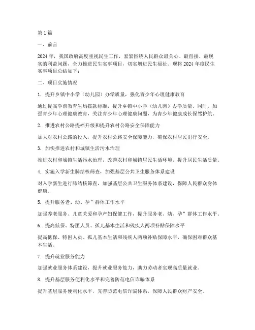 年度民生项目总结报告(3篇)