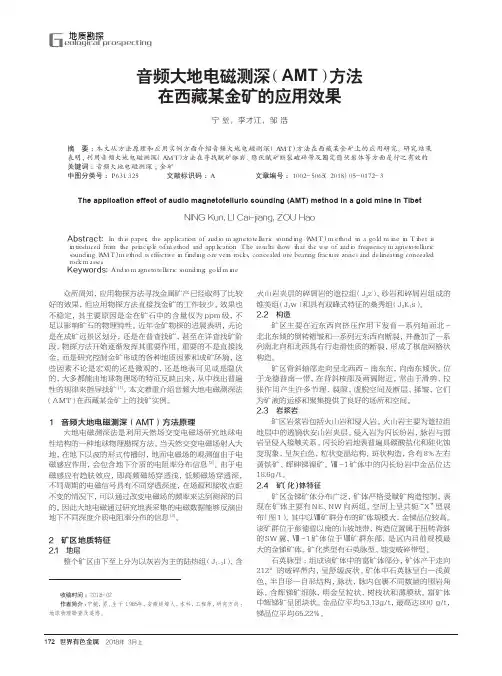 音频大地电磁测深(AMT)方法在西藏某金矿的应用效果