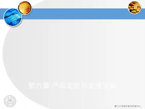 产品定价与企业策略讲义课件