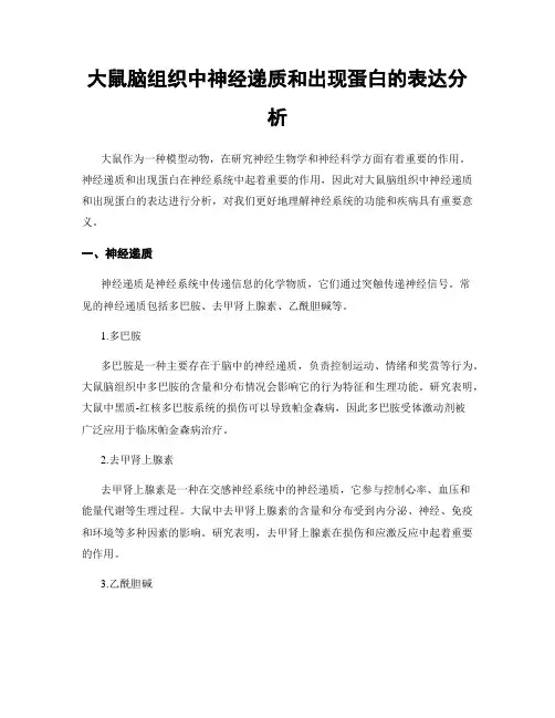 大鼠脑组织中神经递质和出现蛋白的表达分析