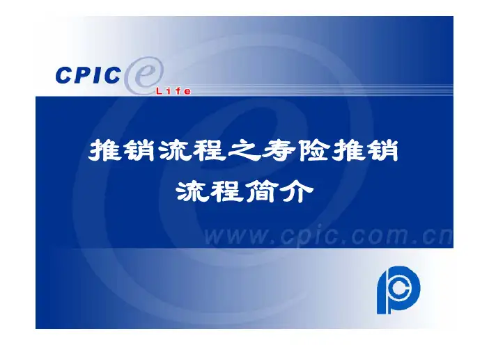专业化销售流程概述