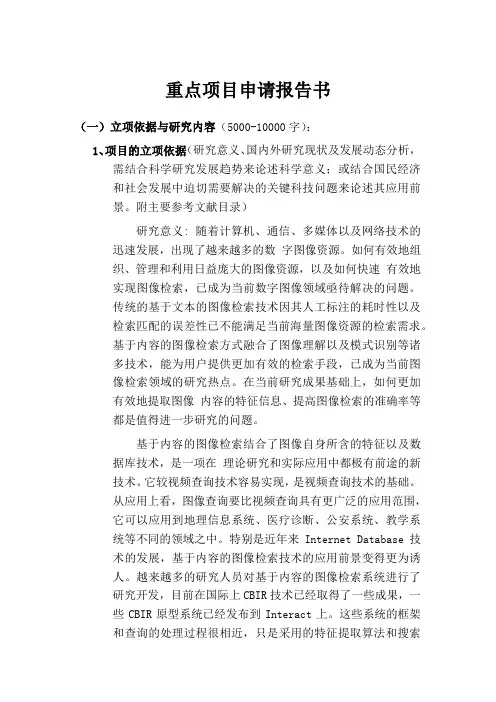重点项目申请报告书