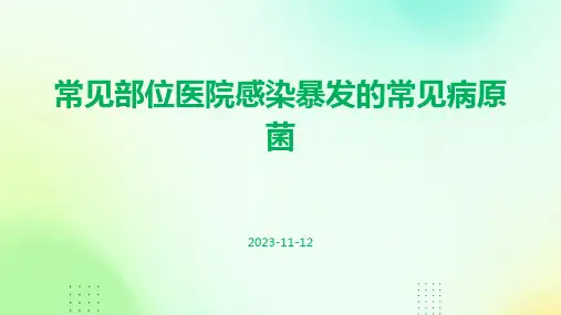 常见部位医院感染暴发的常见病原菌