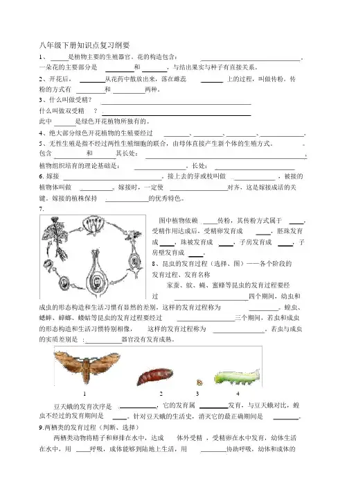 冀教版八年级生物下册知识点复习提纲
