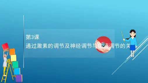  一轮复习 人教版  通过激素的调节及神经调节与体液调节的关系   课件(87张)