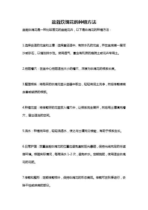 盆栽玖瑰花的种植方法