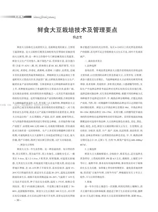 鲜食大豆栽培技术及管理要点