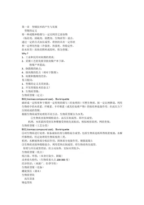 第一章型煤技术的产生与发展2Convertor