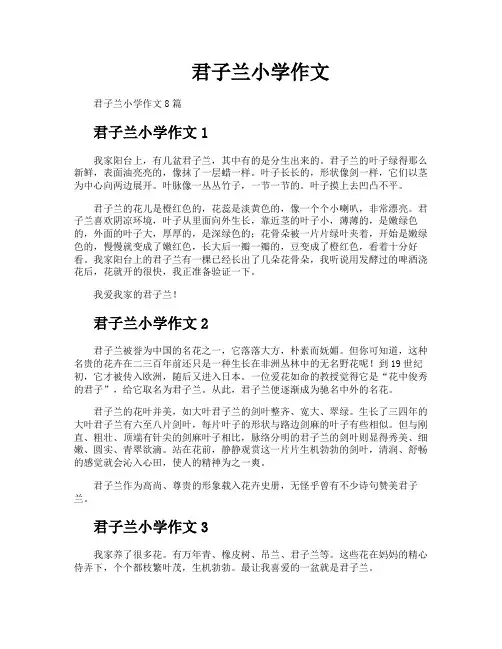 君子兰小学作文