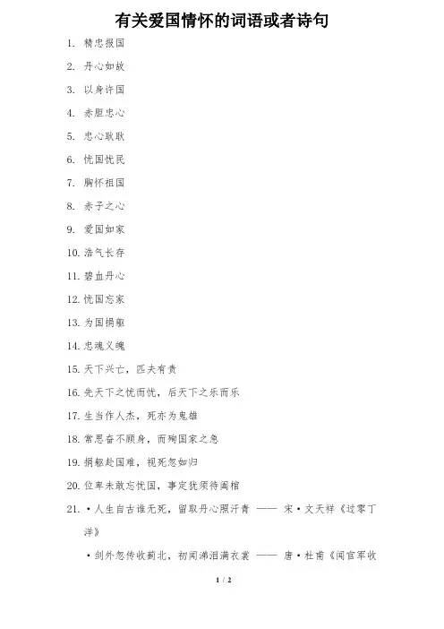 有关爱国情怀的词语或者诗句