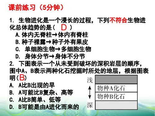 生物进化的原因课件-人教版生物八年级下册2